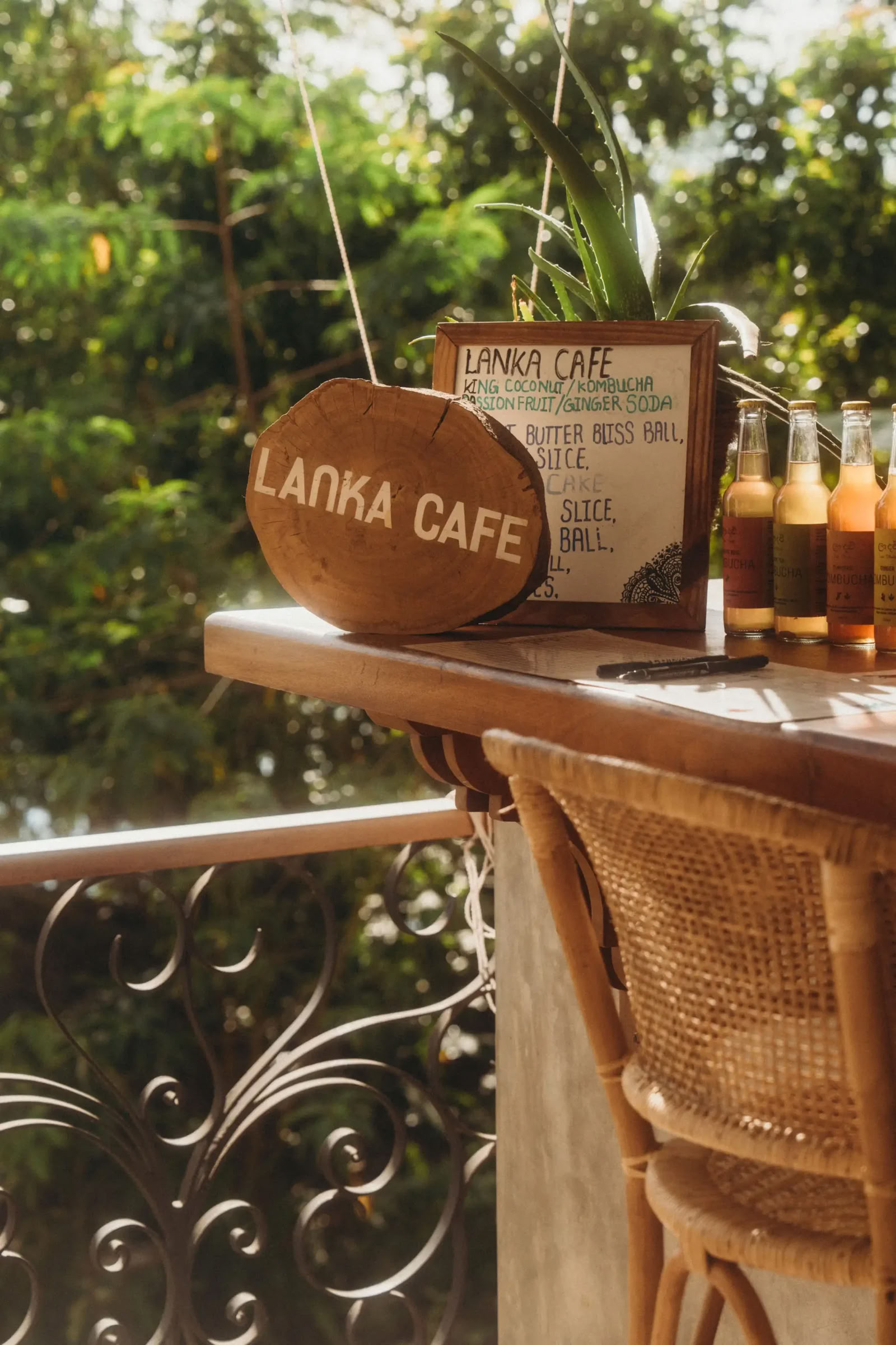 Sri Lanka Yoga Retreat mit Aaron Petty