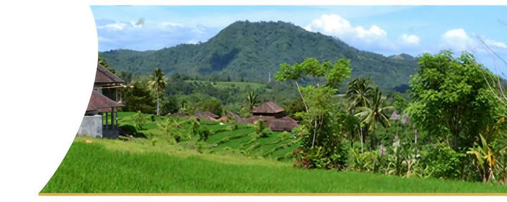 Heilungswoche in Bali