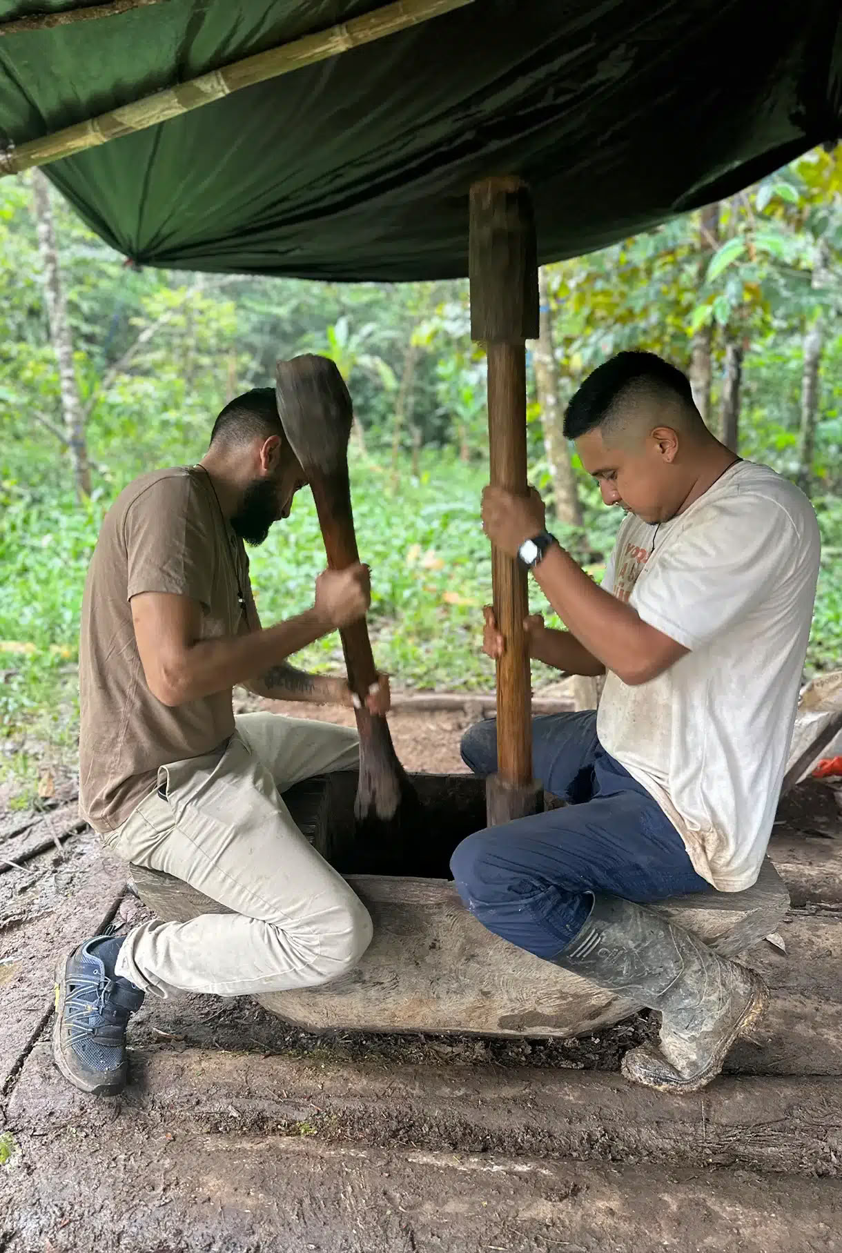 Medicine Maker Ayahuasca Retreat mit Taita Miguel