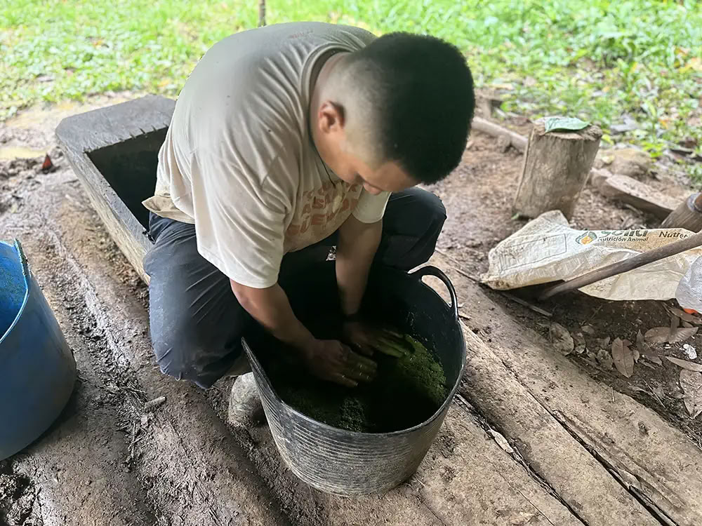 Medicine Maker Ayahuasca Retreat mit Taita Miguel