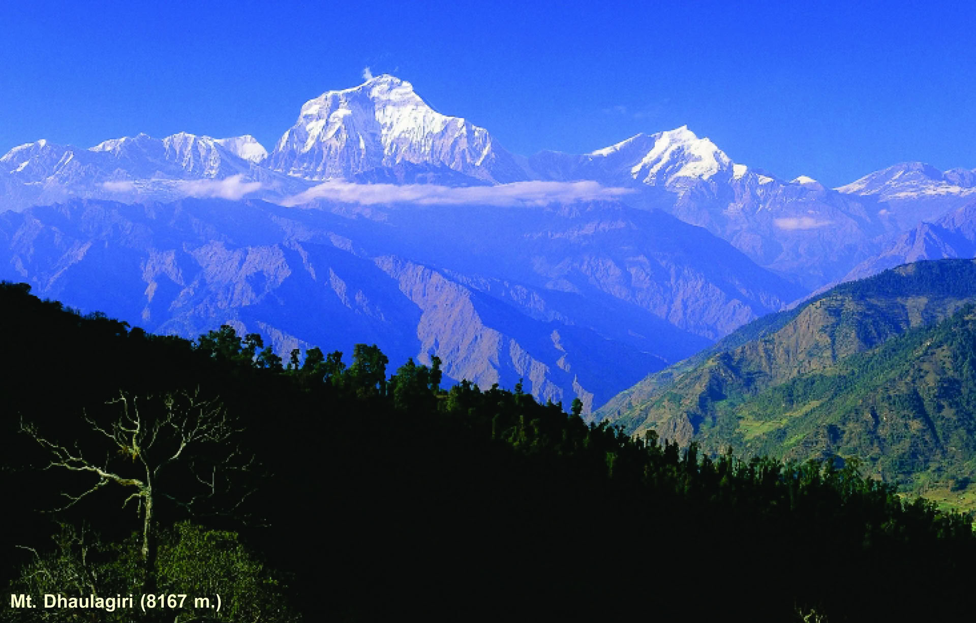 Machhapuchhre Trek und Himalaya erkunden 11 Tage