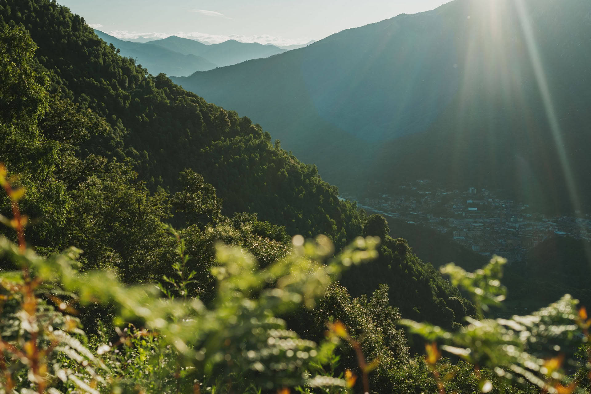 7-tägiges Silence – Detox – Movement Retreat