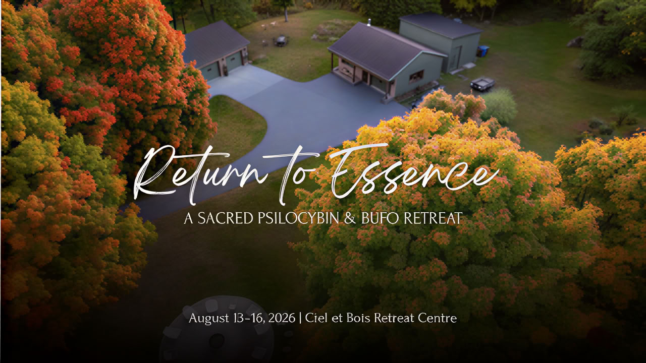 Return to Essence ~ Ein heiliges Psilocybin- & Bufo-Retreat