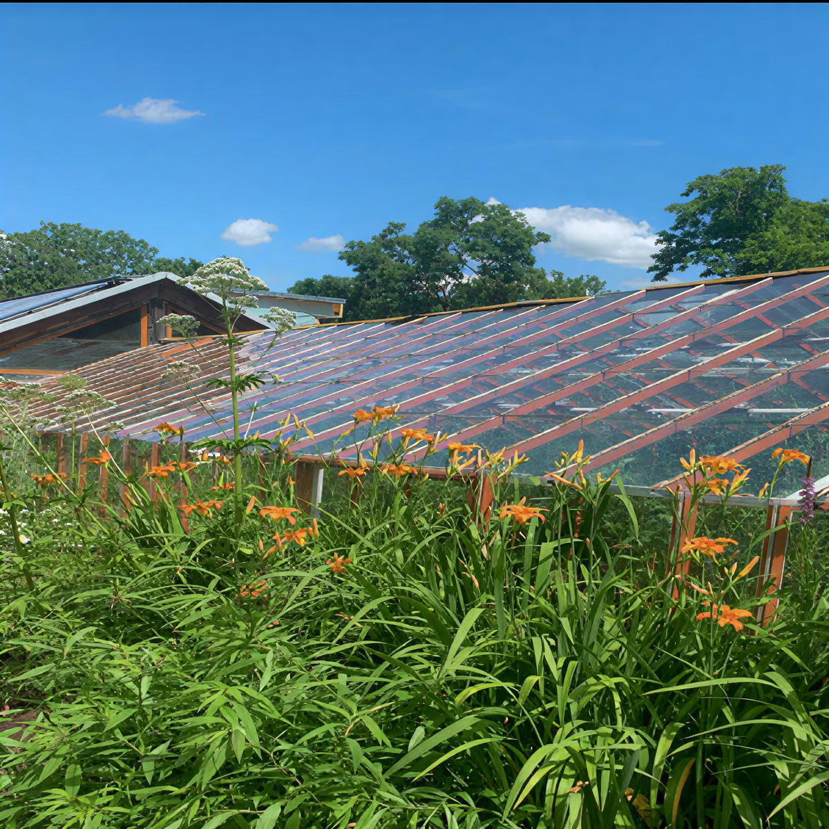 Vairagya Herbst Retreat