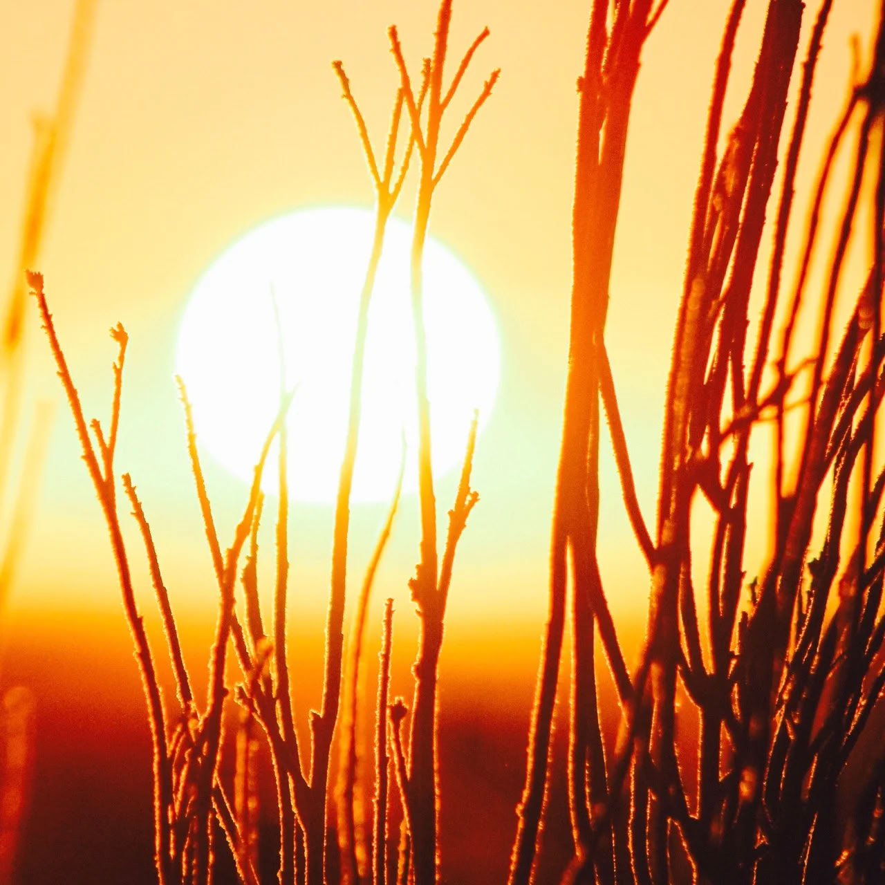 Sommer-Sonnenwende-Feier - Wrexham