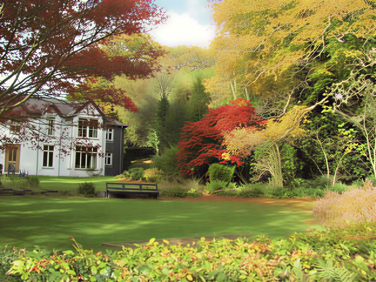 Connection - Kundalini Yoga und Waldbaden Retreat