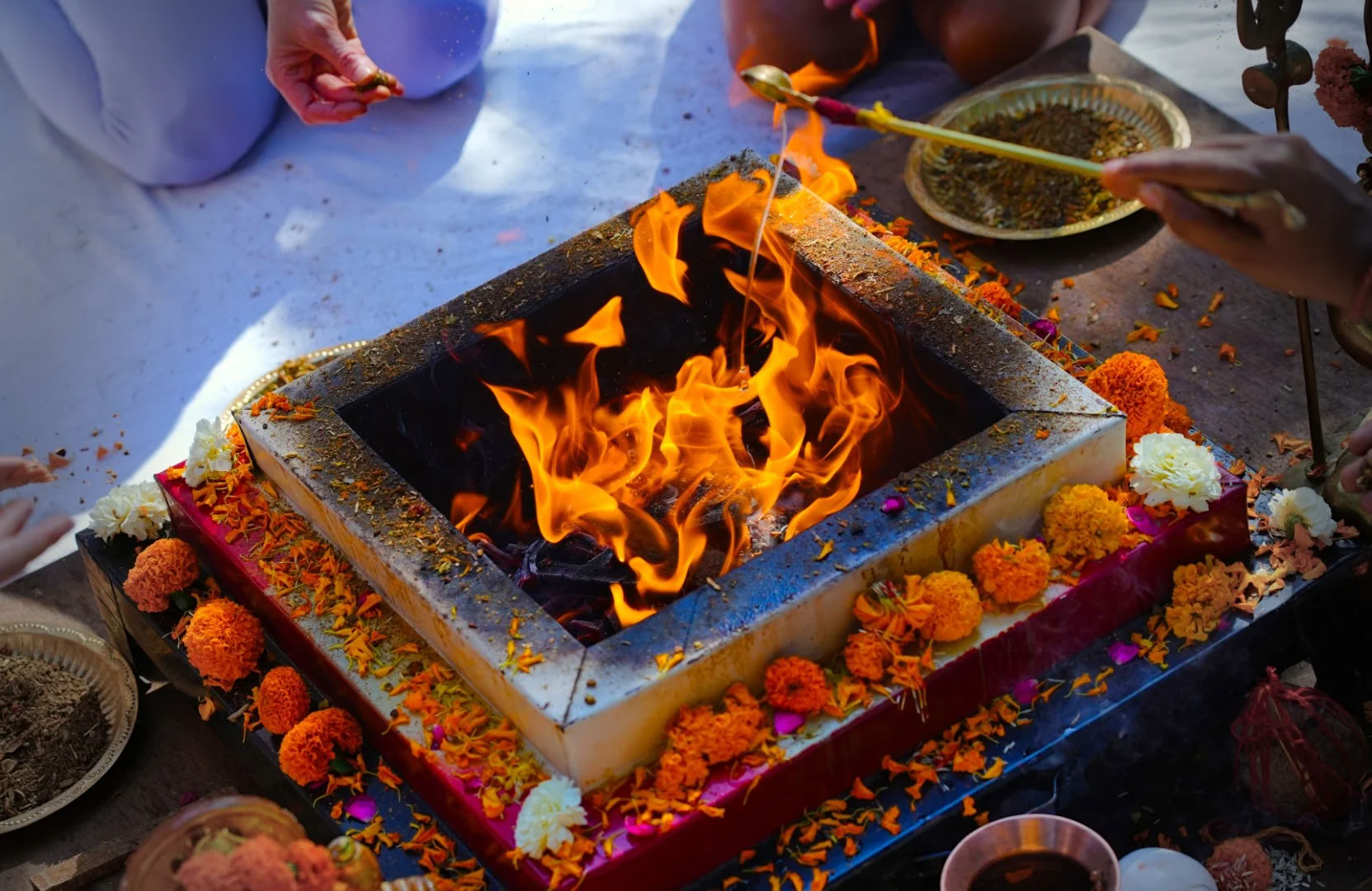14-tägiges Yoga-Retreat in Rishikesh, Indien