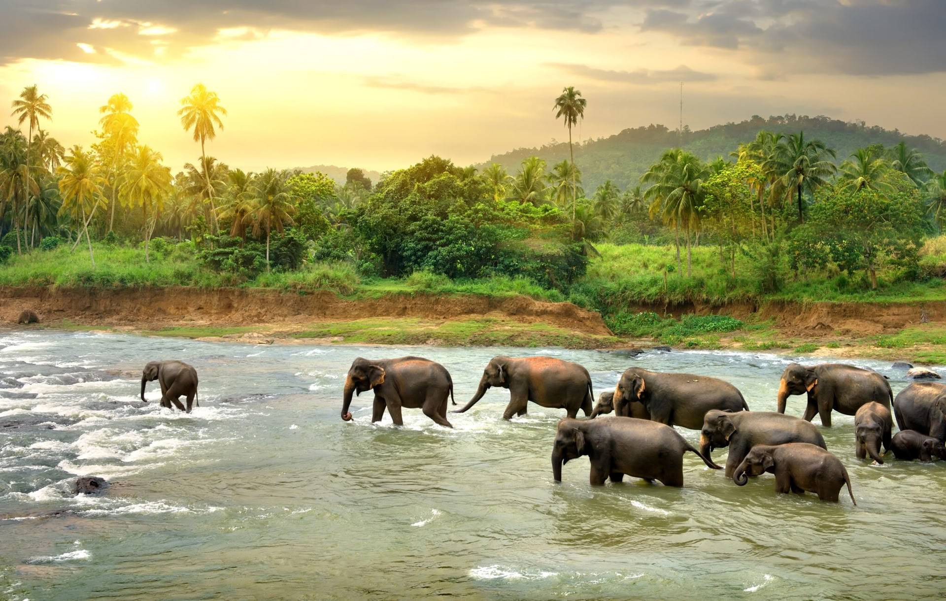 Tranquil Trails: 7-Tage Sri Lanka Bliss! Yoga, Meditation, Kultur, Natur
