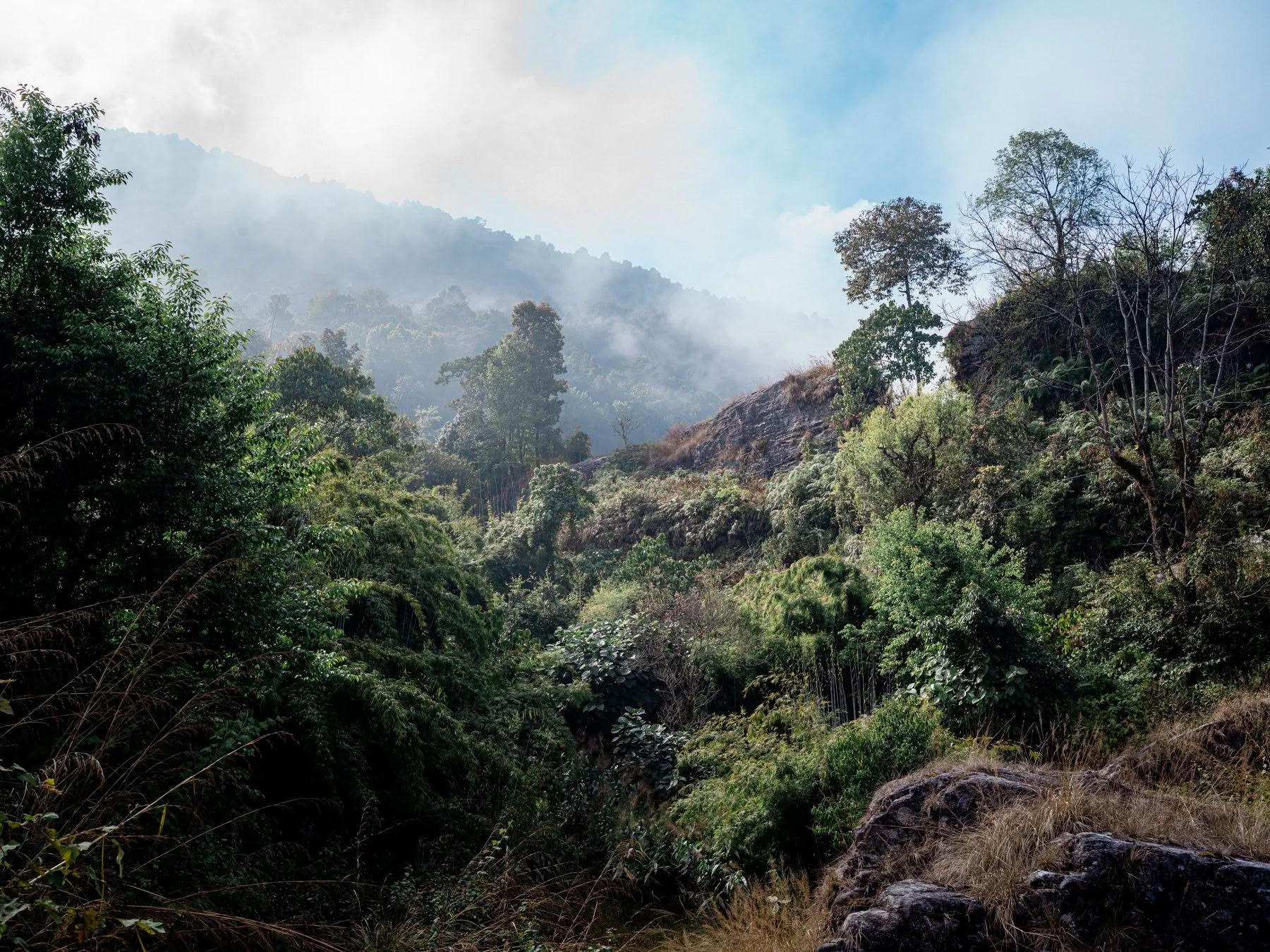 4D/3N Klangmeditation & Natur-Retreat