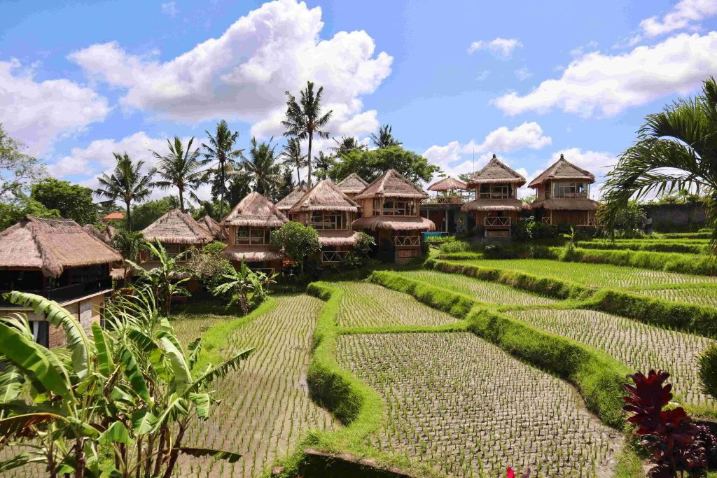 200-Stunden Yoga Teacher Training Ubud, Bali | RYT 200 Kurs