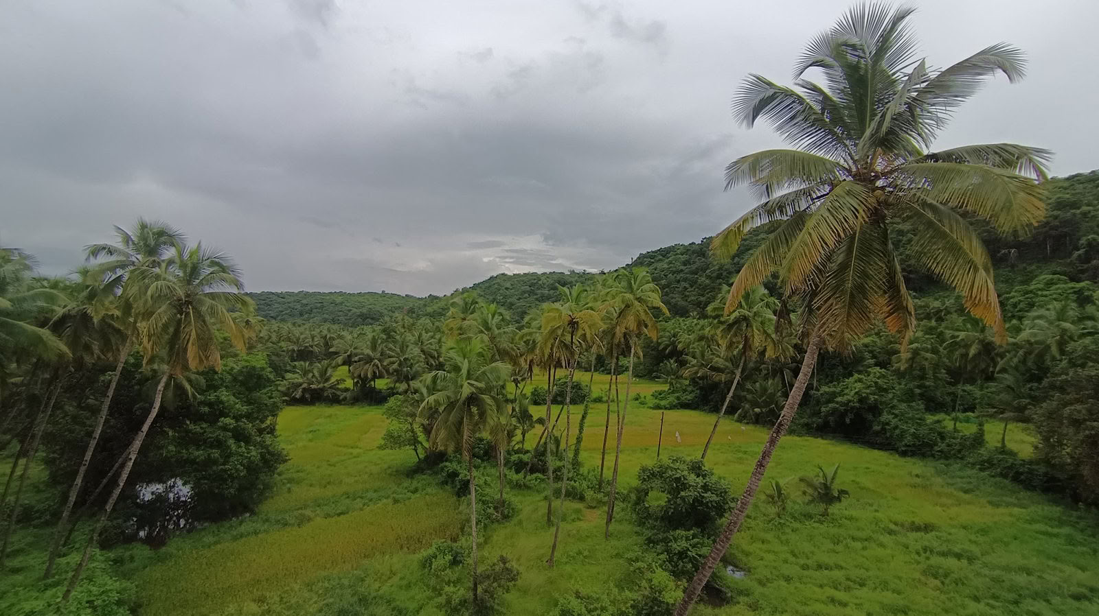 100-Stunden Advanced Tantra & Kundalini Yoga Lehrertraining-Kurs in Goa, Indien