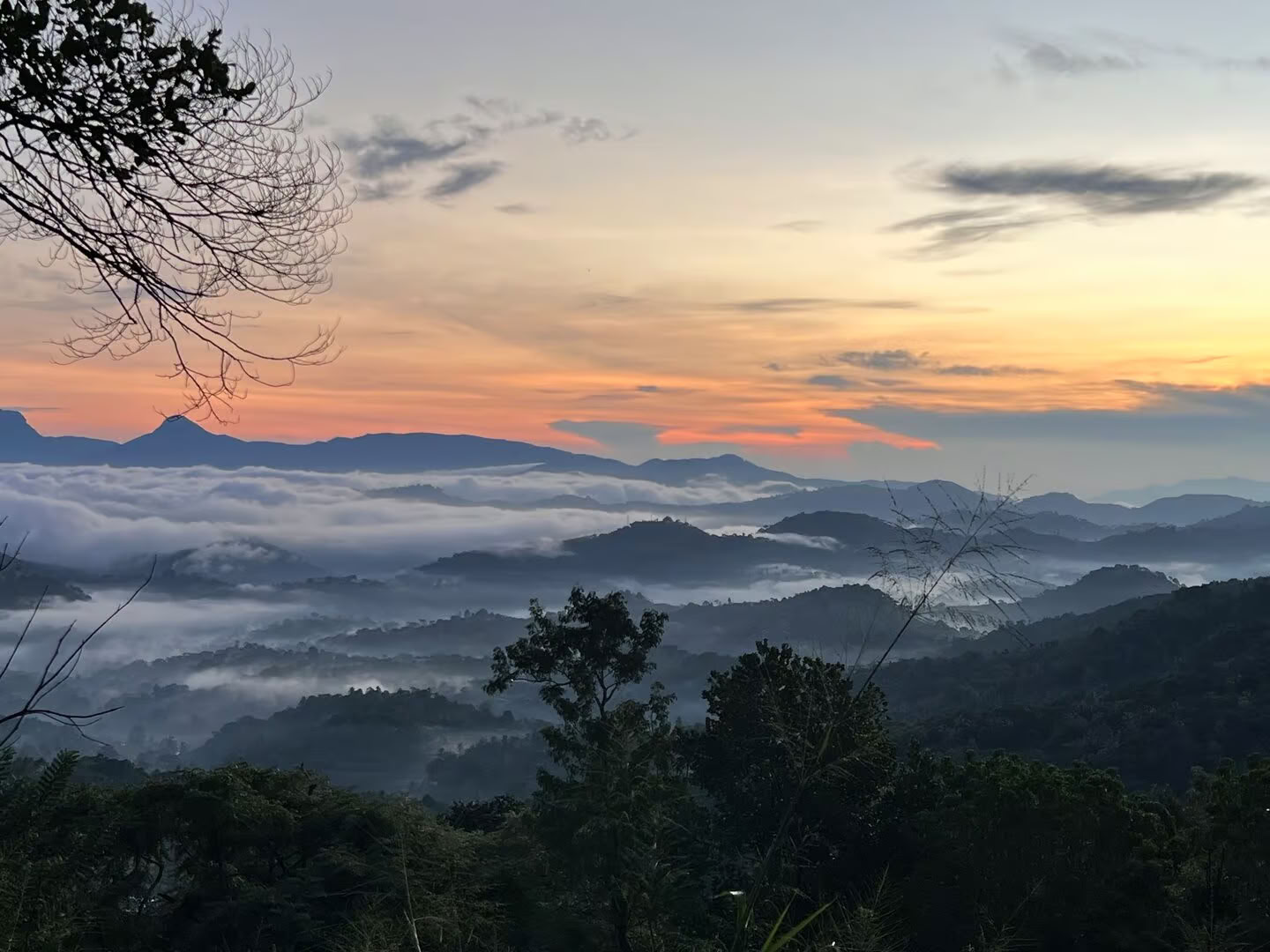 Yoga, Reise & Ayurveda in Sri Lanka: Ein Abenteuer für die Seele