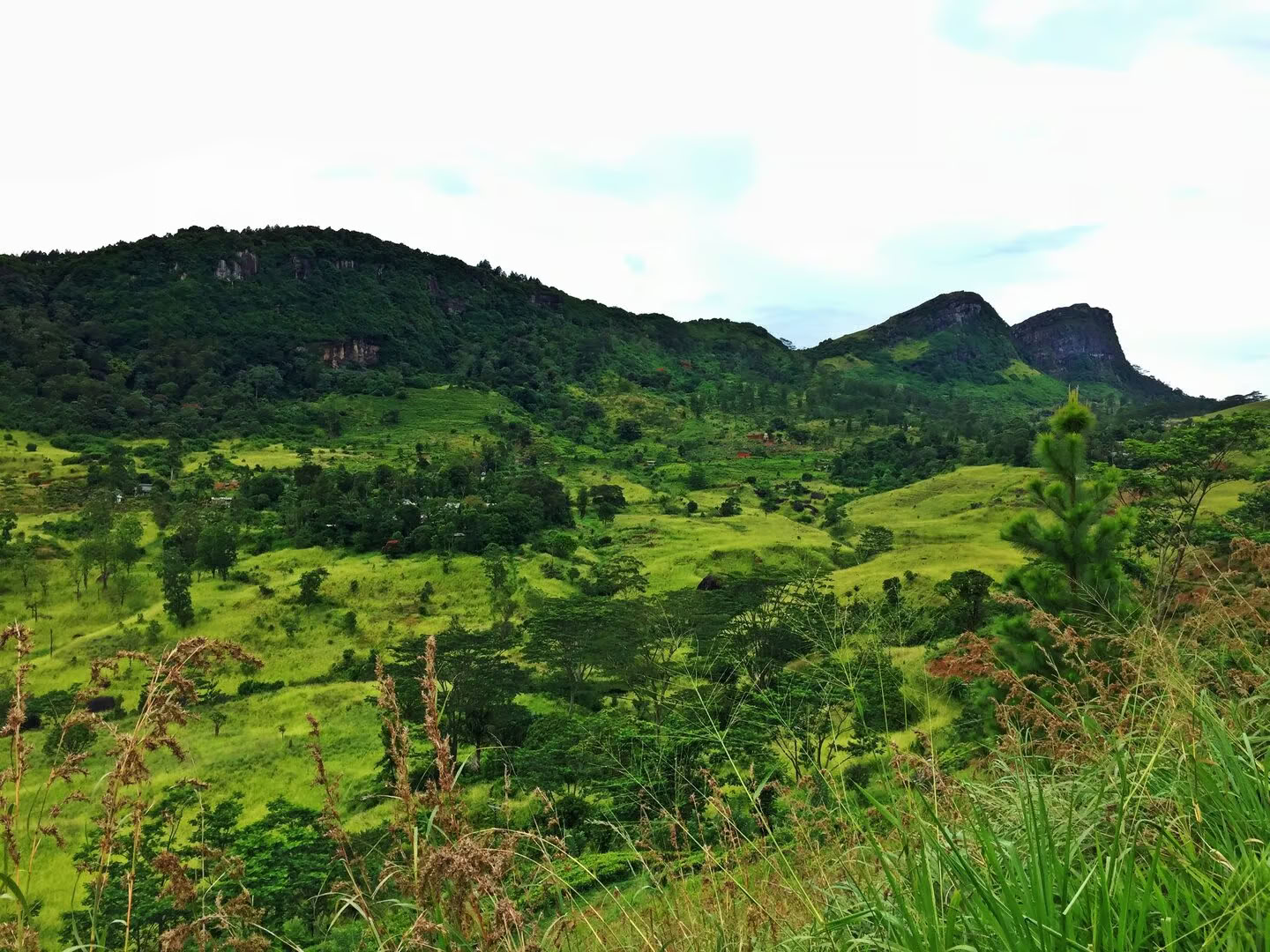 Yoga, Reise & Ayurveda in Sri Lanka: Ein Abenteuer für die Seele