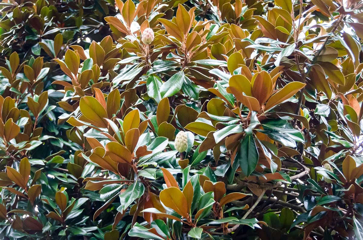 Herbst-Tagundnachtgleiche Yoga- & Meditations-Retreat