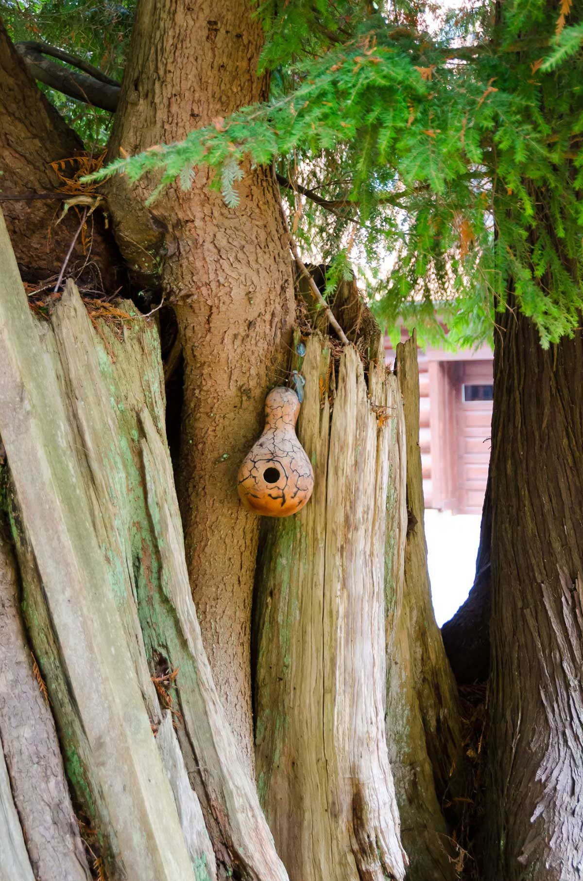 Herbst-Tagundnachtgleiche Yoga- & Meditations-Retreat
