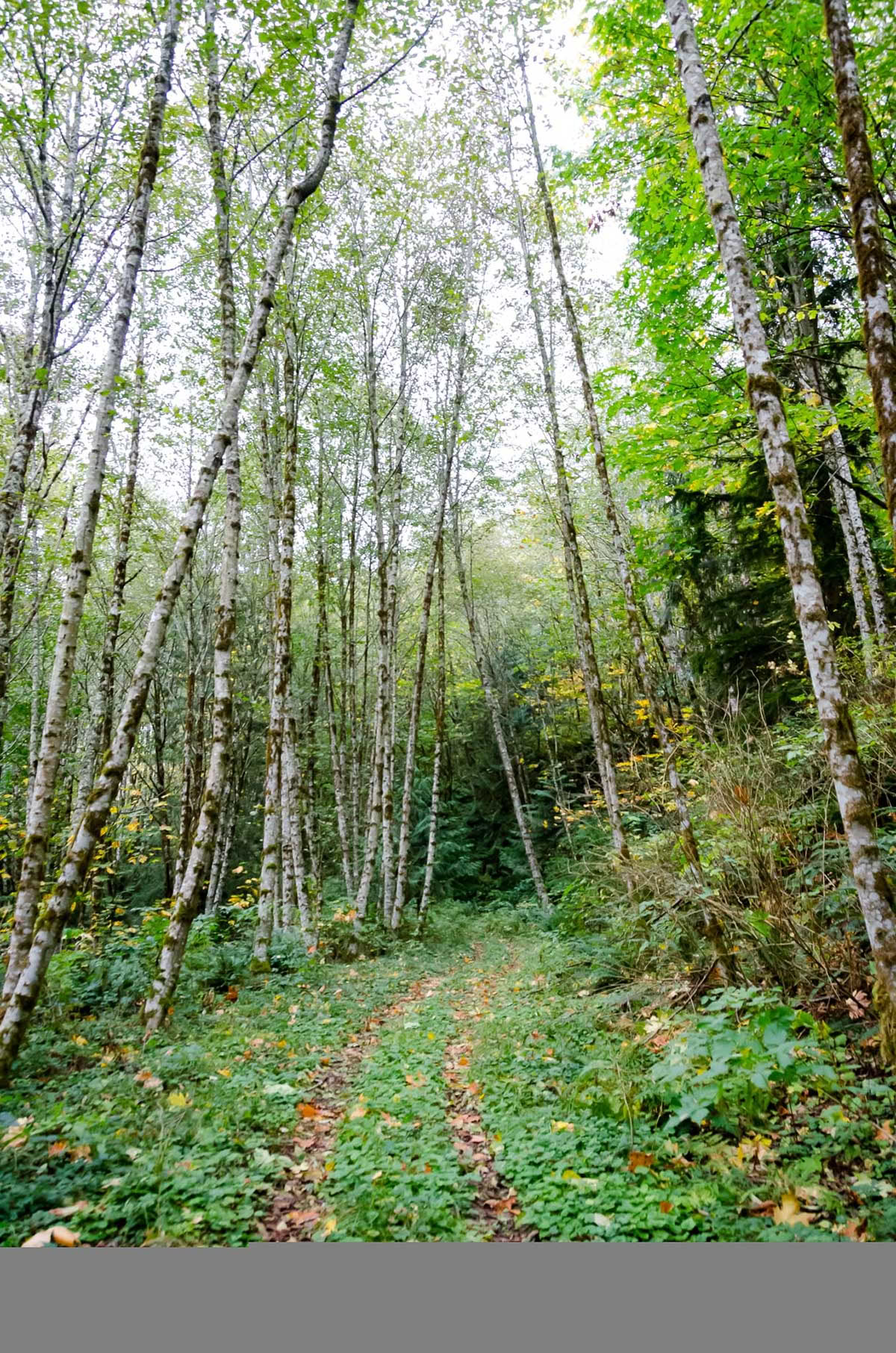 Herbst-Tagundnachtgleiche Yoga- & Meditations-Retreat