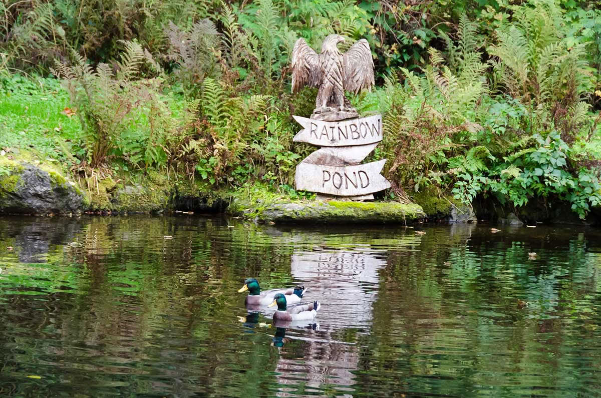 Herbst-Tagundnachtgleiche Yoga- & Meditations-Retreat