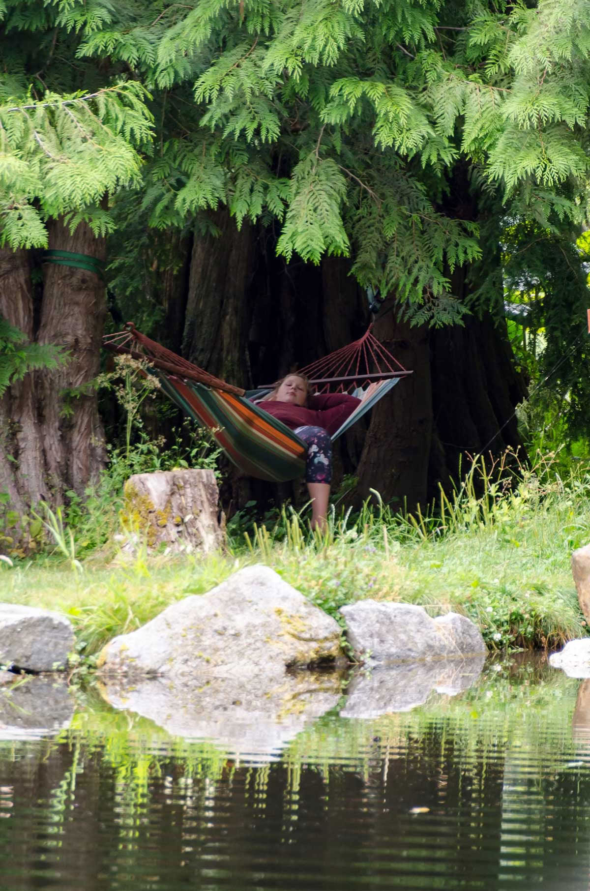 Detox Retreat – Sommerreinigung