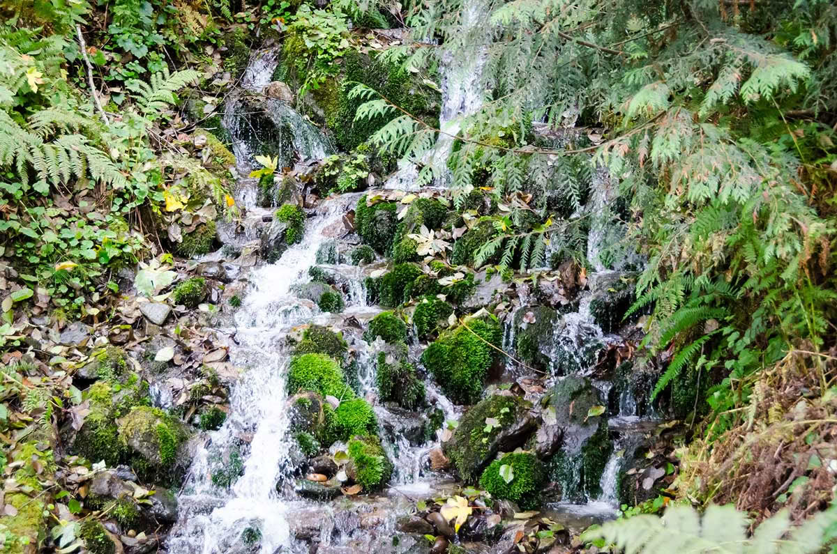 Detox Retreat – Sommerreinigung