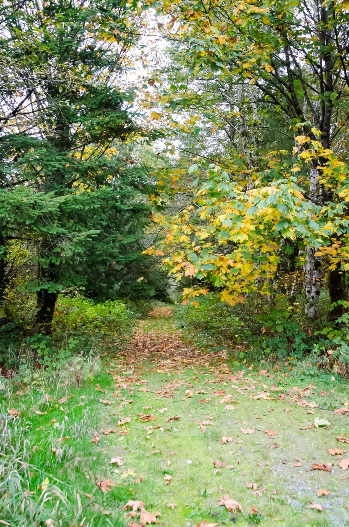 Detox Retreat – Sommerreinigung