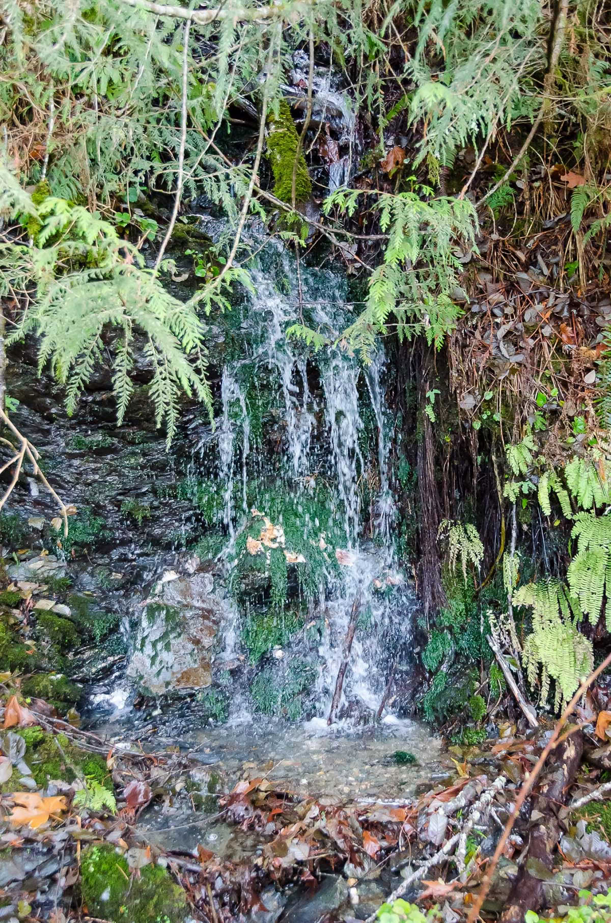 Holotropes Breathwork®