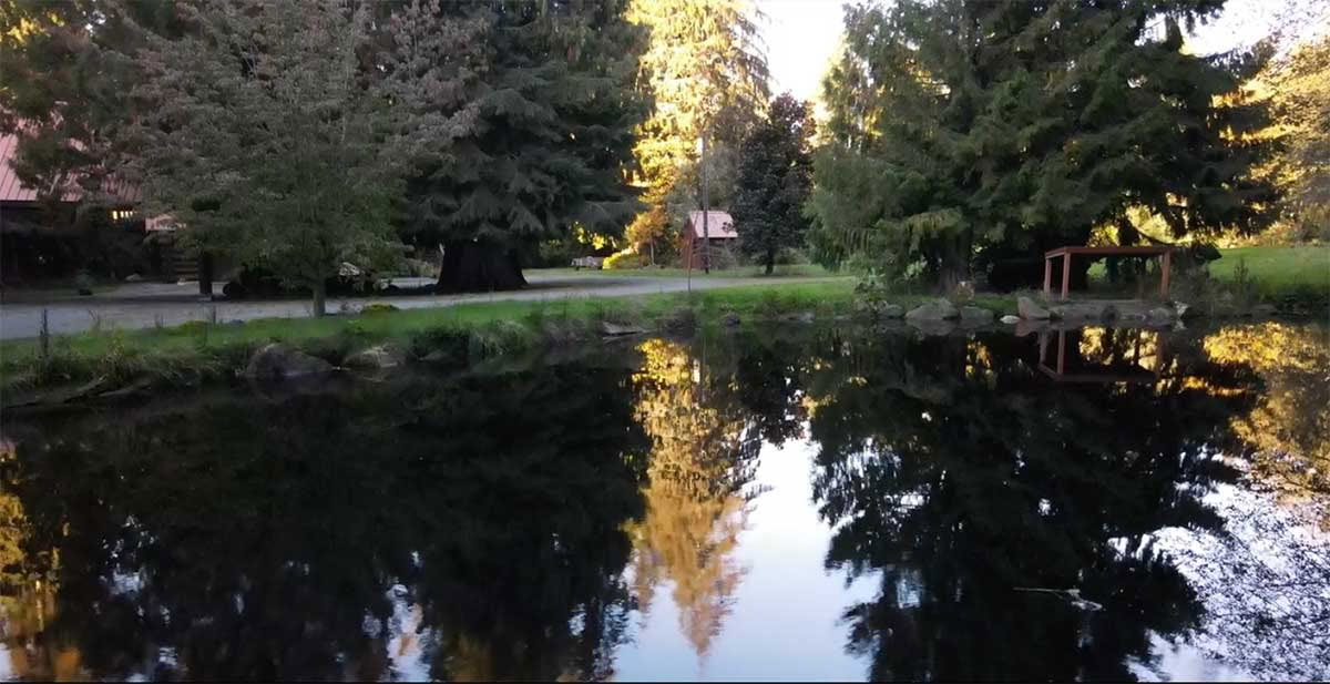 Detox Retreat – Herbstliche Reinigung