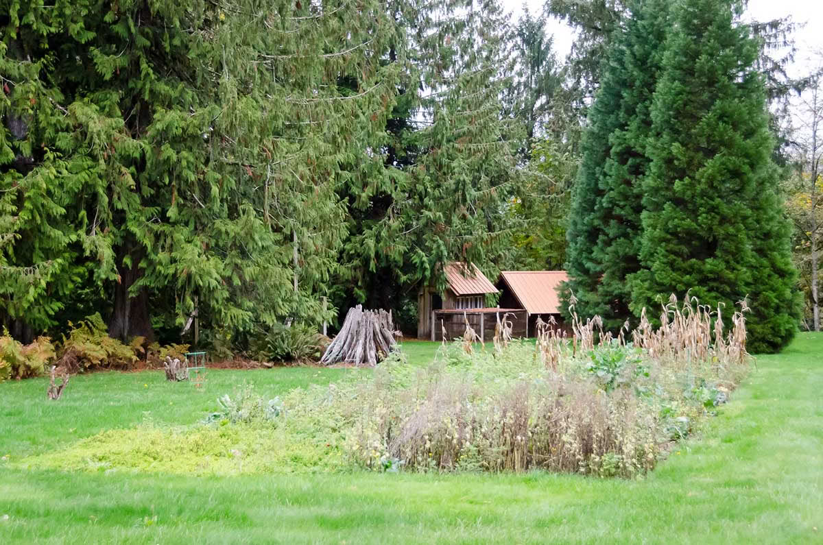 Detox Retreat – Herbstliche Reinigung