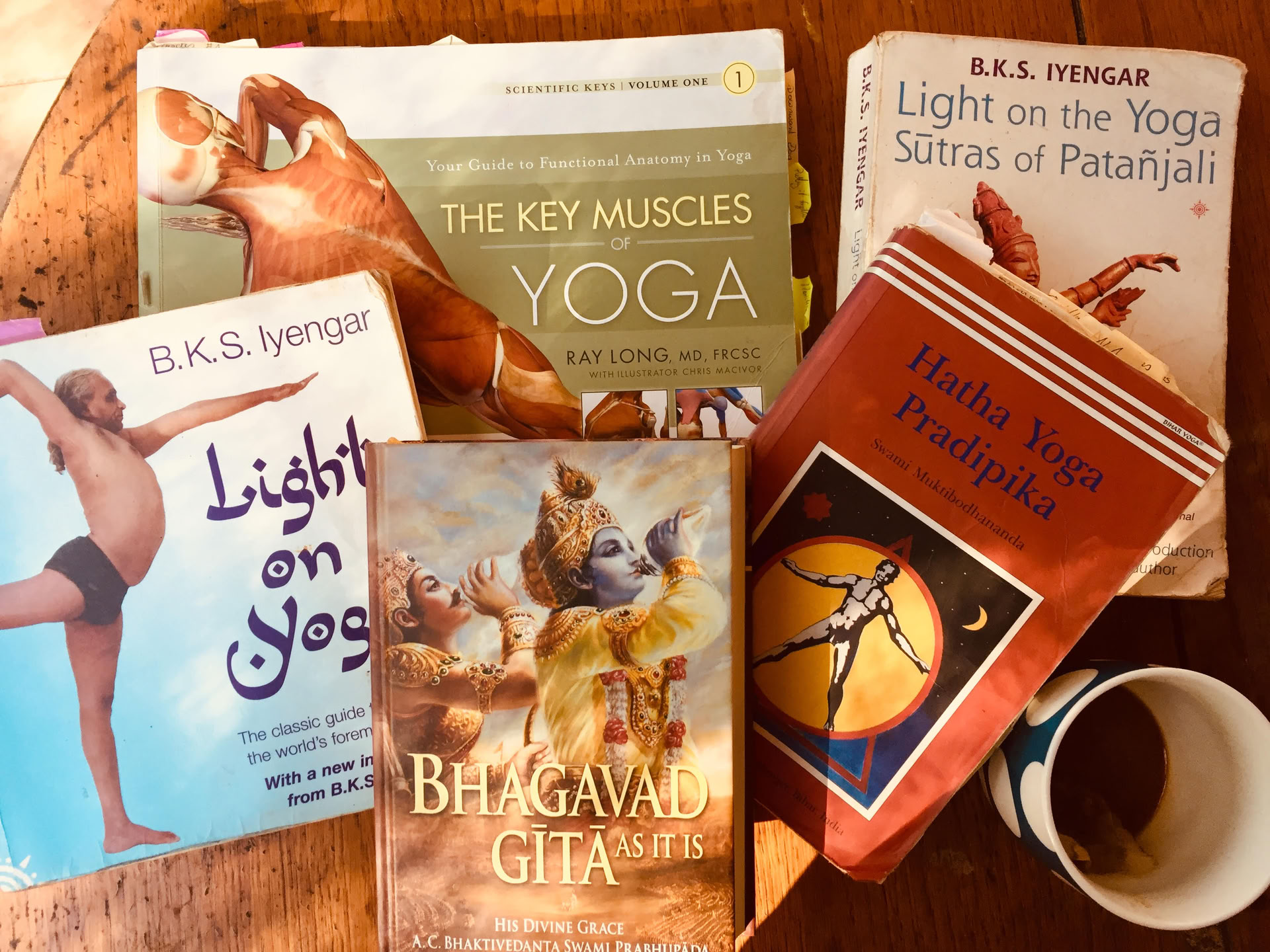 Yoga-Immersion