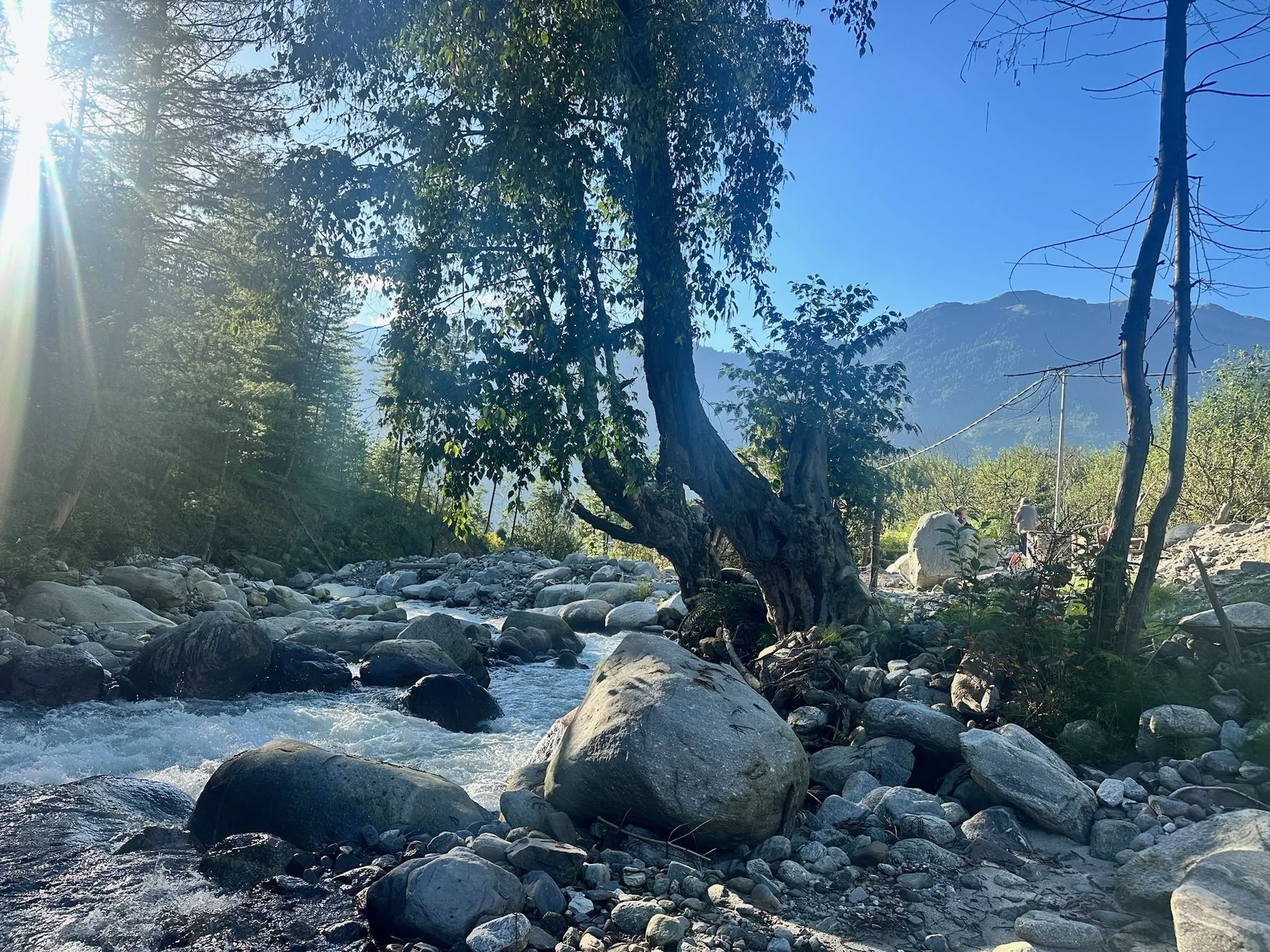 Himalaya Wellness-Retreat
