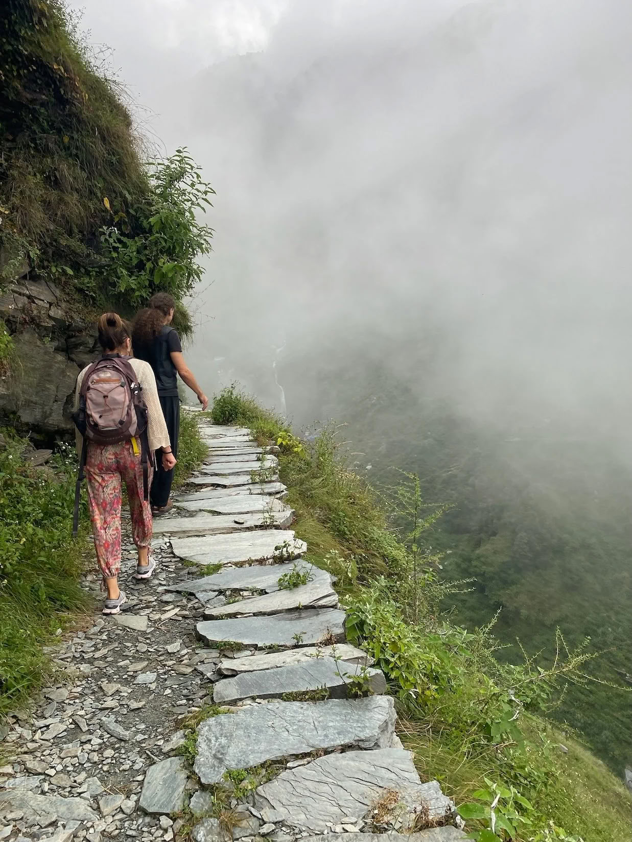 Himalaya Wellness-Retreat