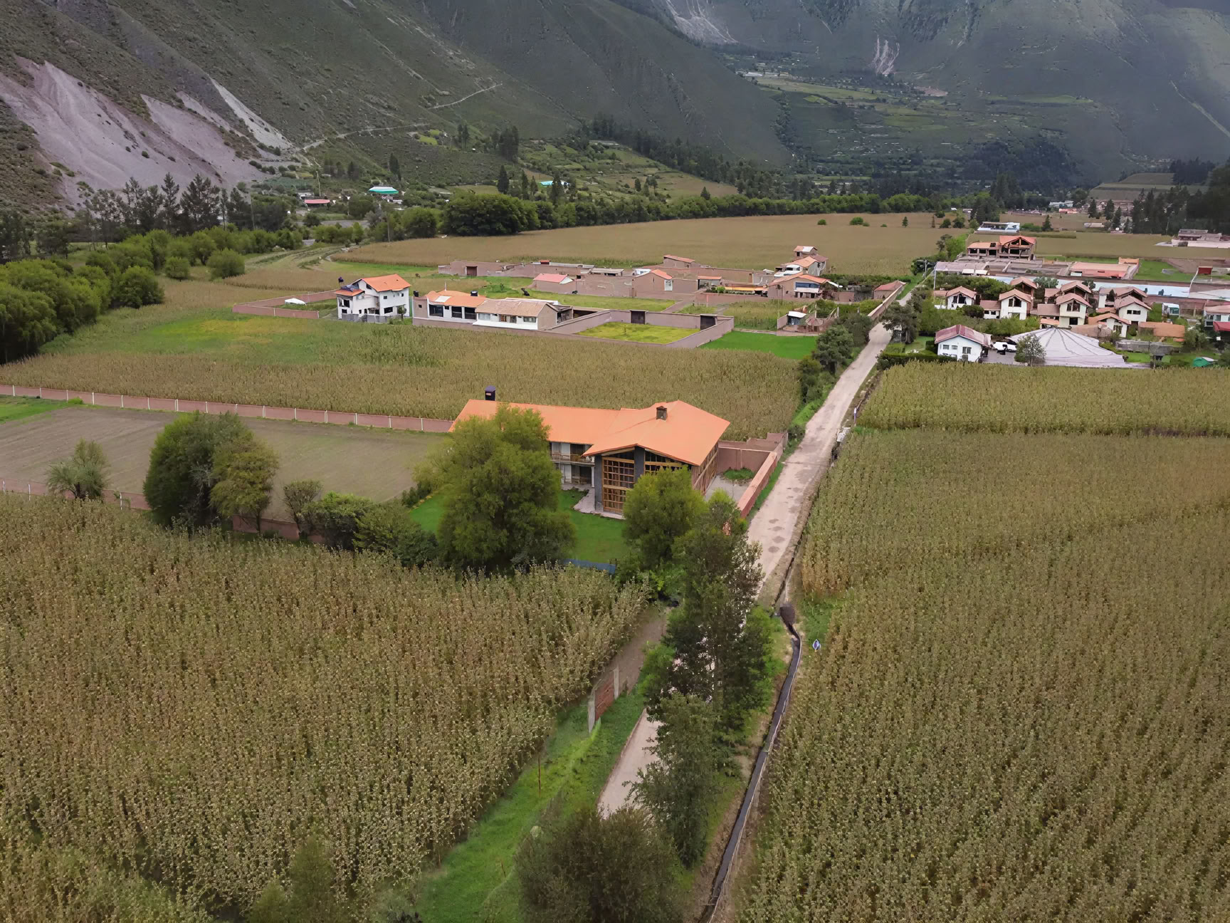 Full-Day San Pedro Retreat in Peru: Heilige Zeremonie & Erdverbindung