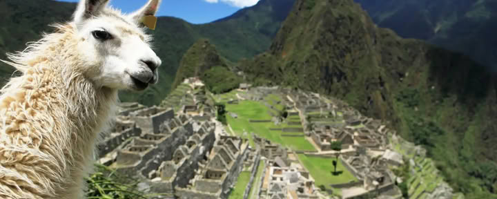 7-tägiges Ayahuasca Retreat & Machu Picchu: Heilige Heilungsreise