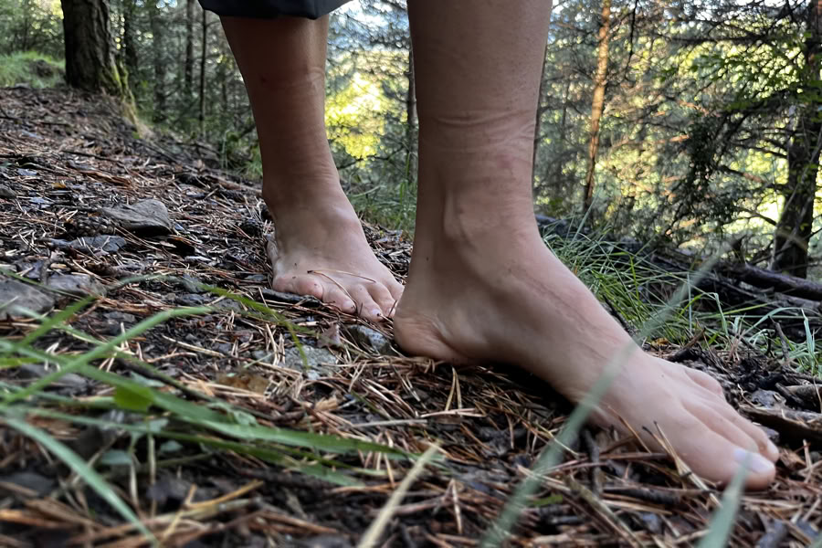 Dancing nature: Bewegung, Yoga, Kunst & Wandern Retreat