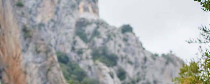 Beginning Anew : Yoga, Achtsamkeit, Kunst & Natur Retreat