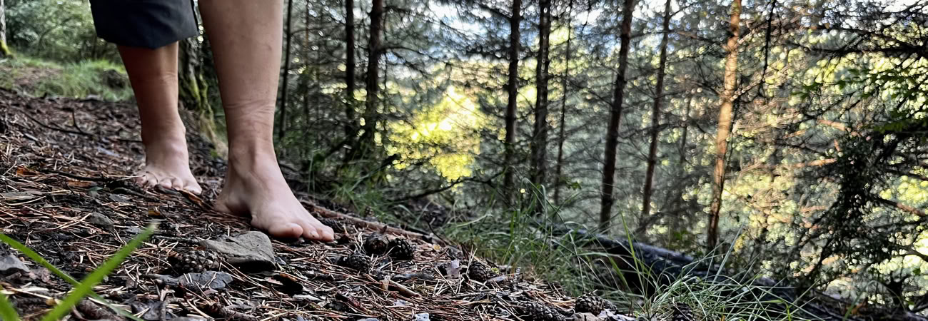 Frieden in der Wildnis: Yoga-, Kunst- & Natur-Retreat