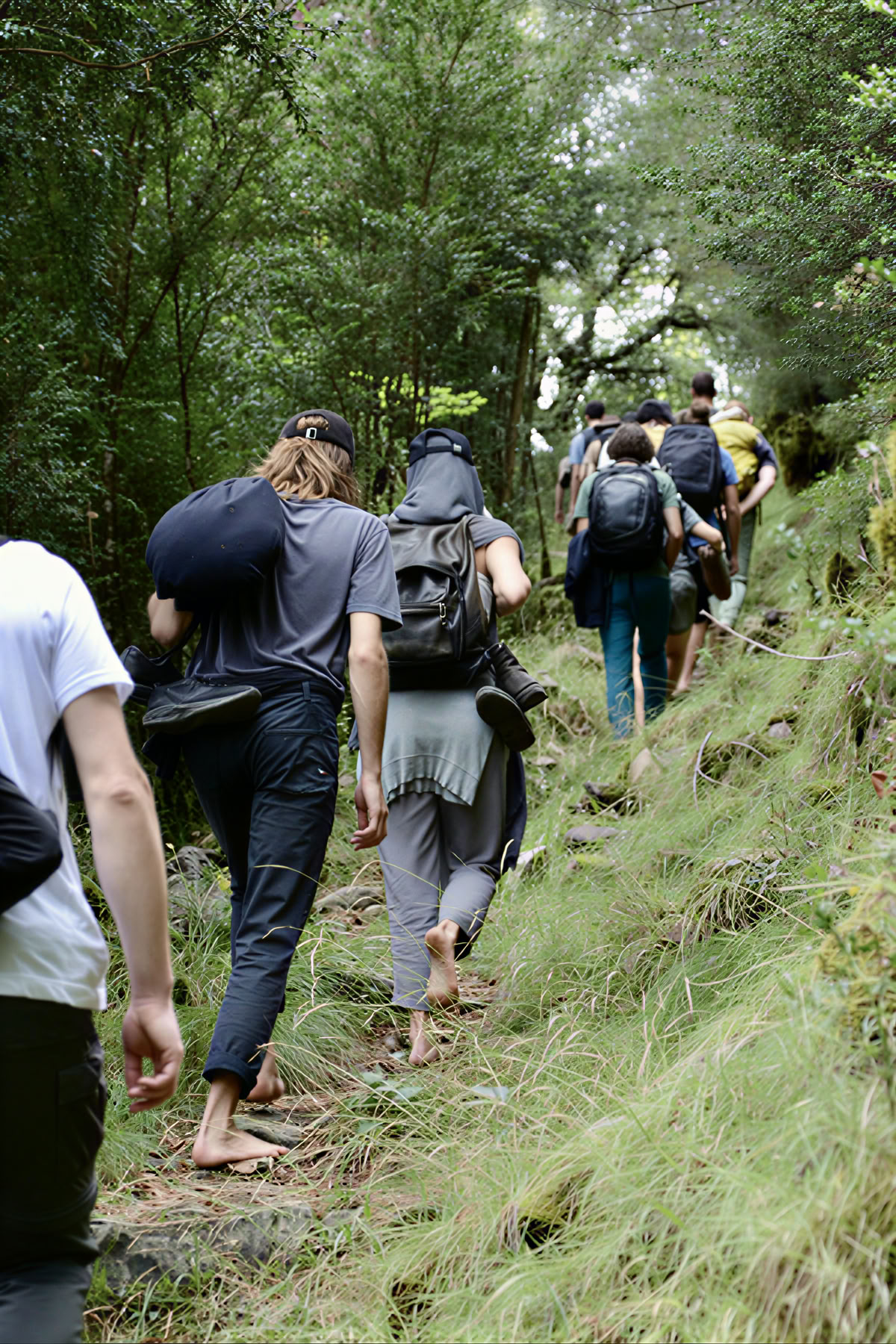 Frieden in der Wildnis: Yoga-, Kunst- & Natur-Retreat