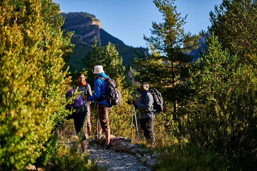 Reverence for life: Yoga, Achtsamkeit & Hiking Retreat