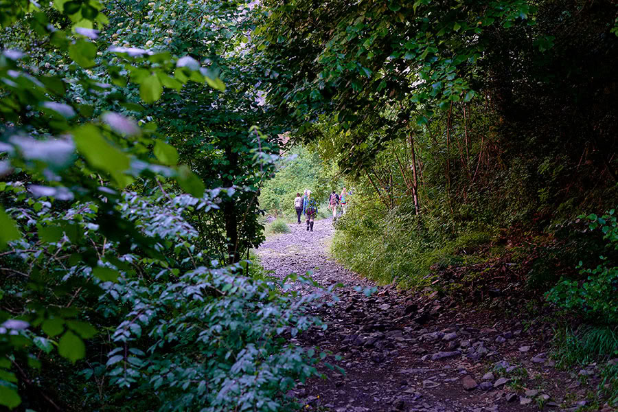 Reverence for life: Yoga, Achtsamkeit & Hiking Retreat