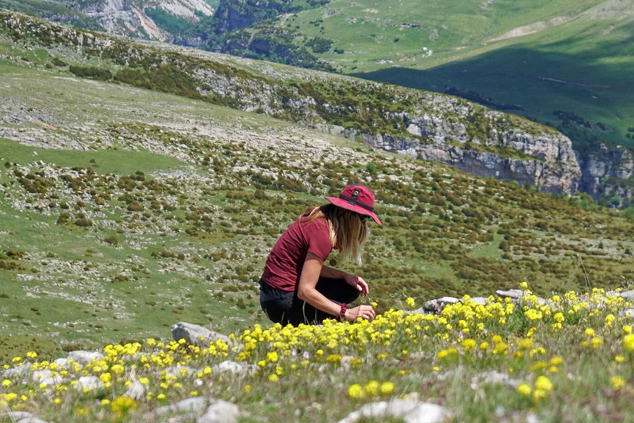 Reverence for life: Yoga, Achtsamkeit & Hiking Retreat