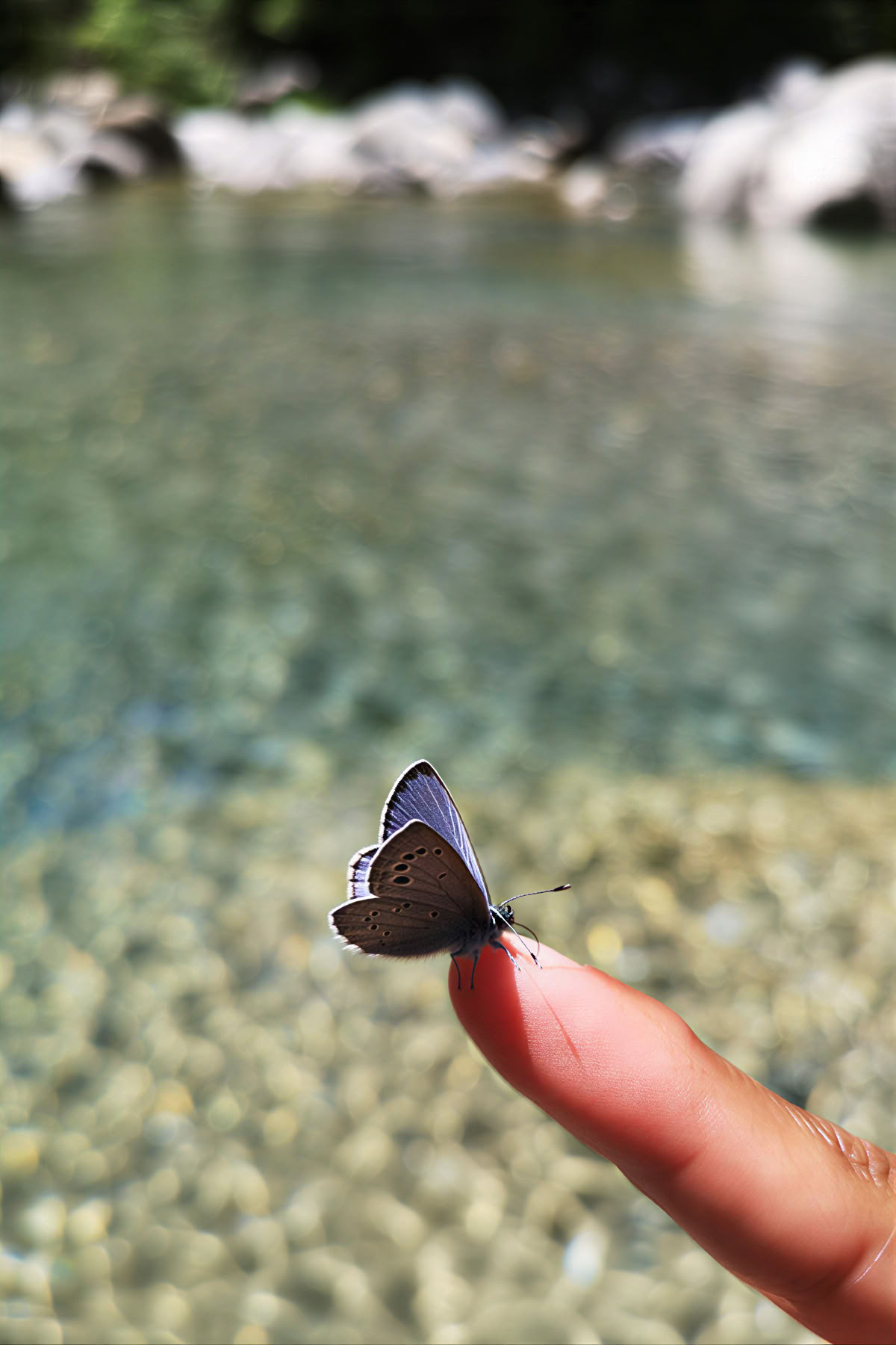 Reverence for life: Yoga, Achtsamkeit & Hiking Retreat