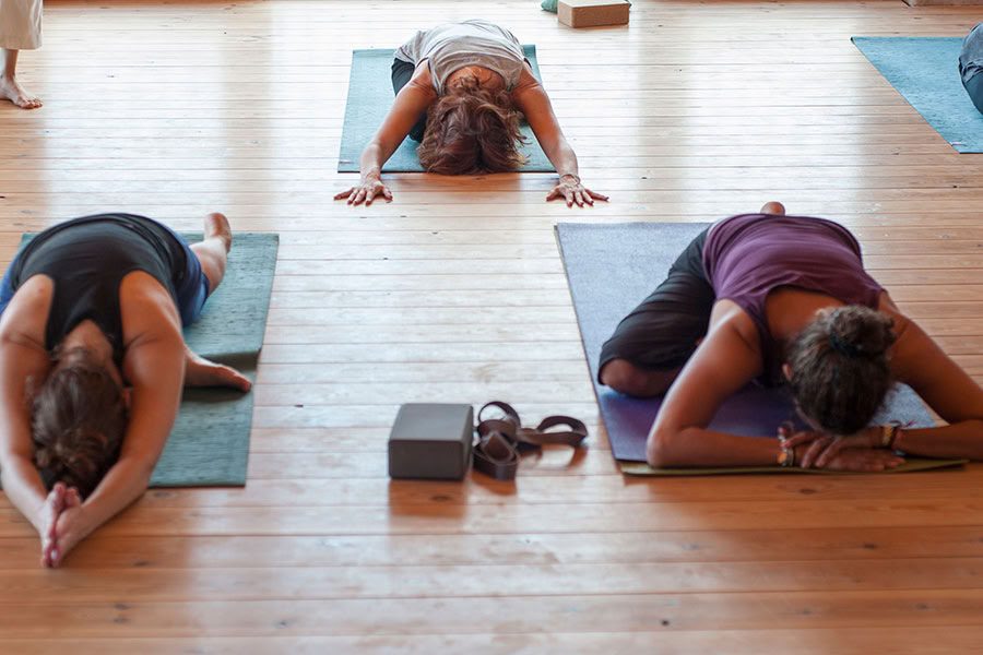 Reverence for life: Yoga, Achtsamkeit & Hiking Retreat
