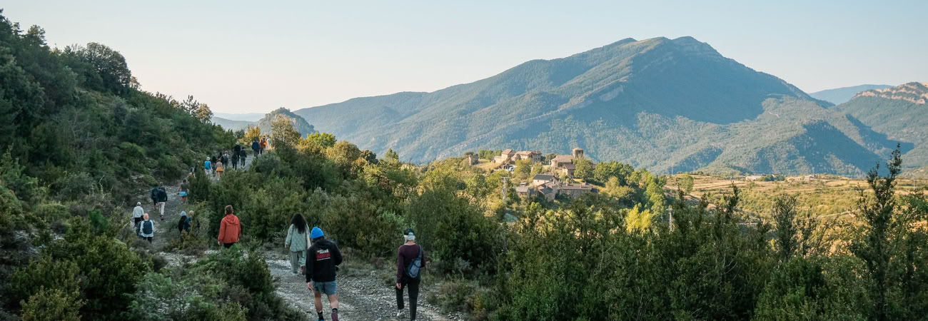 Zen & Tea Retreat mit Wu De