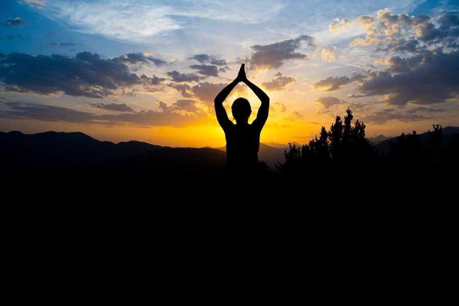 Forest Bathing: Yoga, Kunst & Natur Retreat