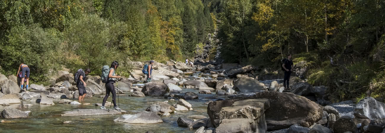 Ehrfurcht vor dem Leben: Yoga-, Kunst- & Natur-Retreat