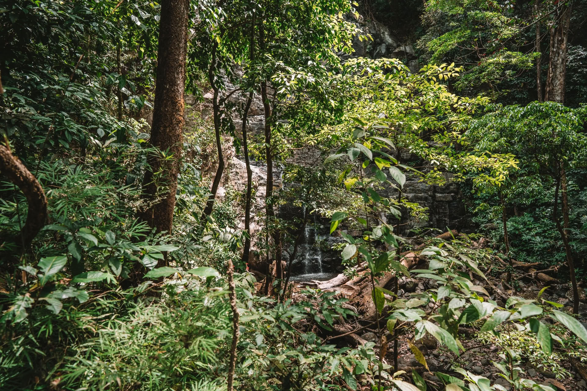 Digital Detox Retreat