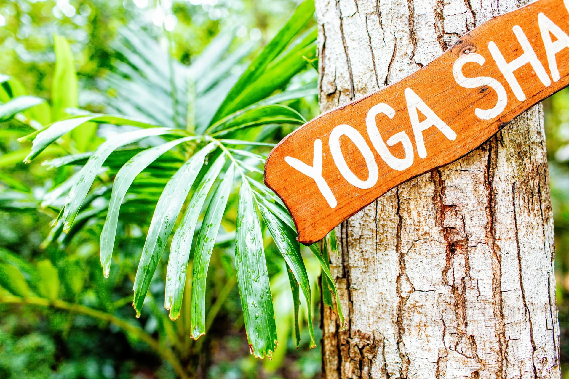 Ashtanga Yoga-Immersions-Retreat