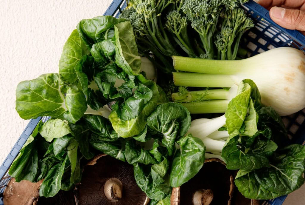 Ganzheitliches Detox-Programm