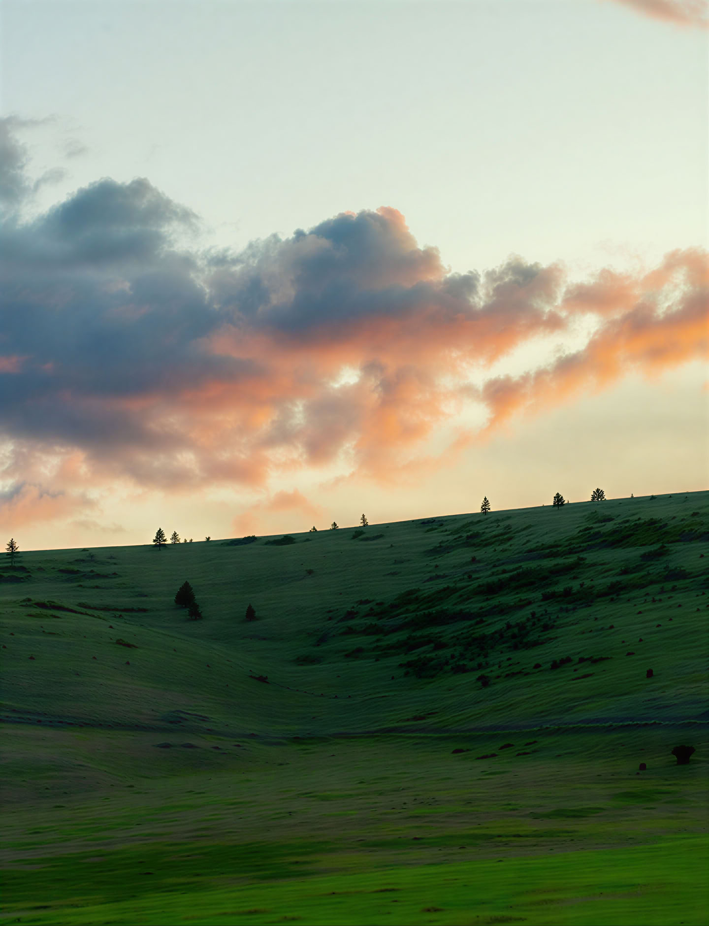 Buddha, Dharma, Sangha Retreat