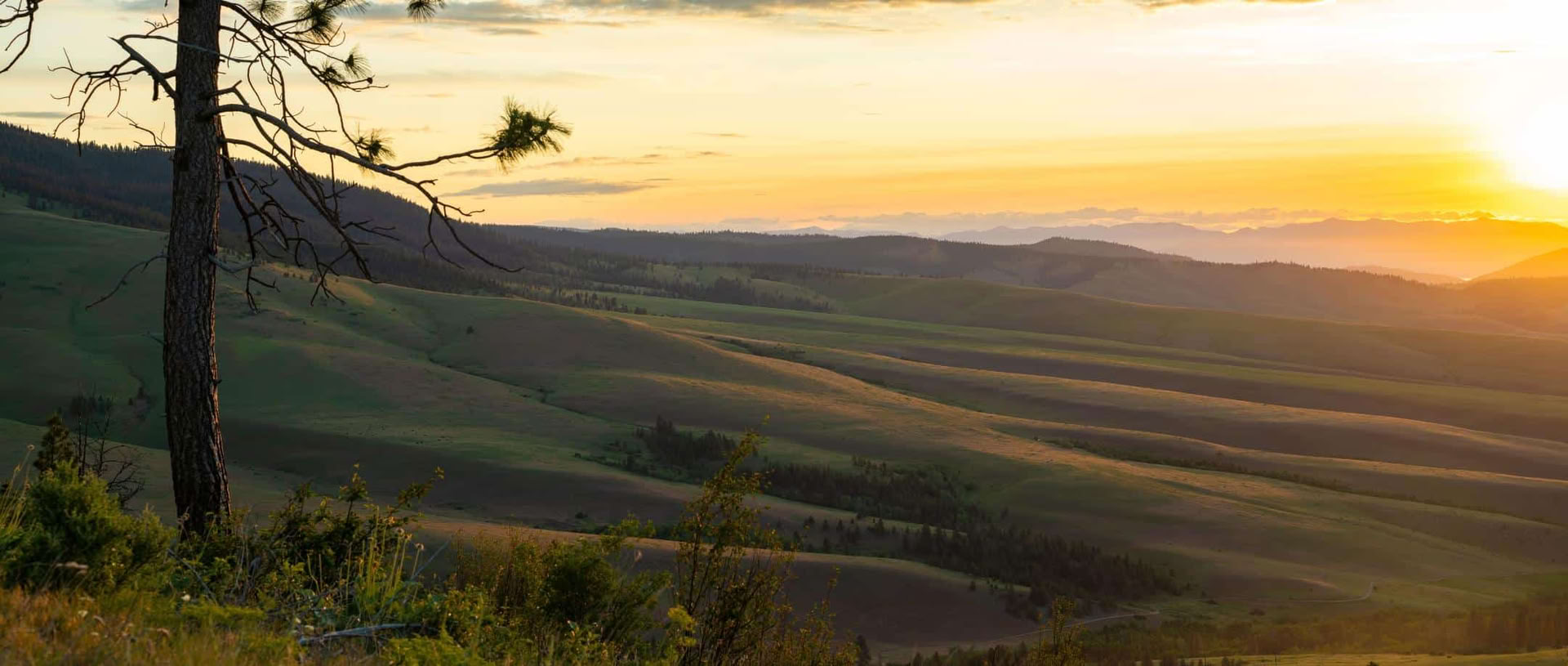 Finding Comfort & Ease: Tibetisches Yoga- und Meditations-Retreat