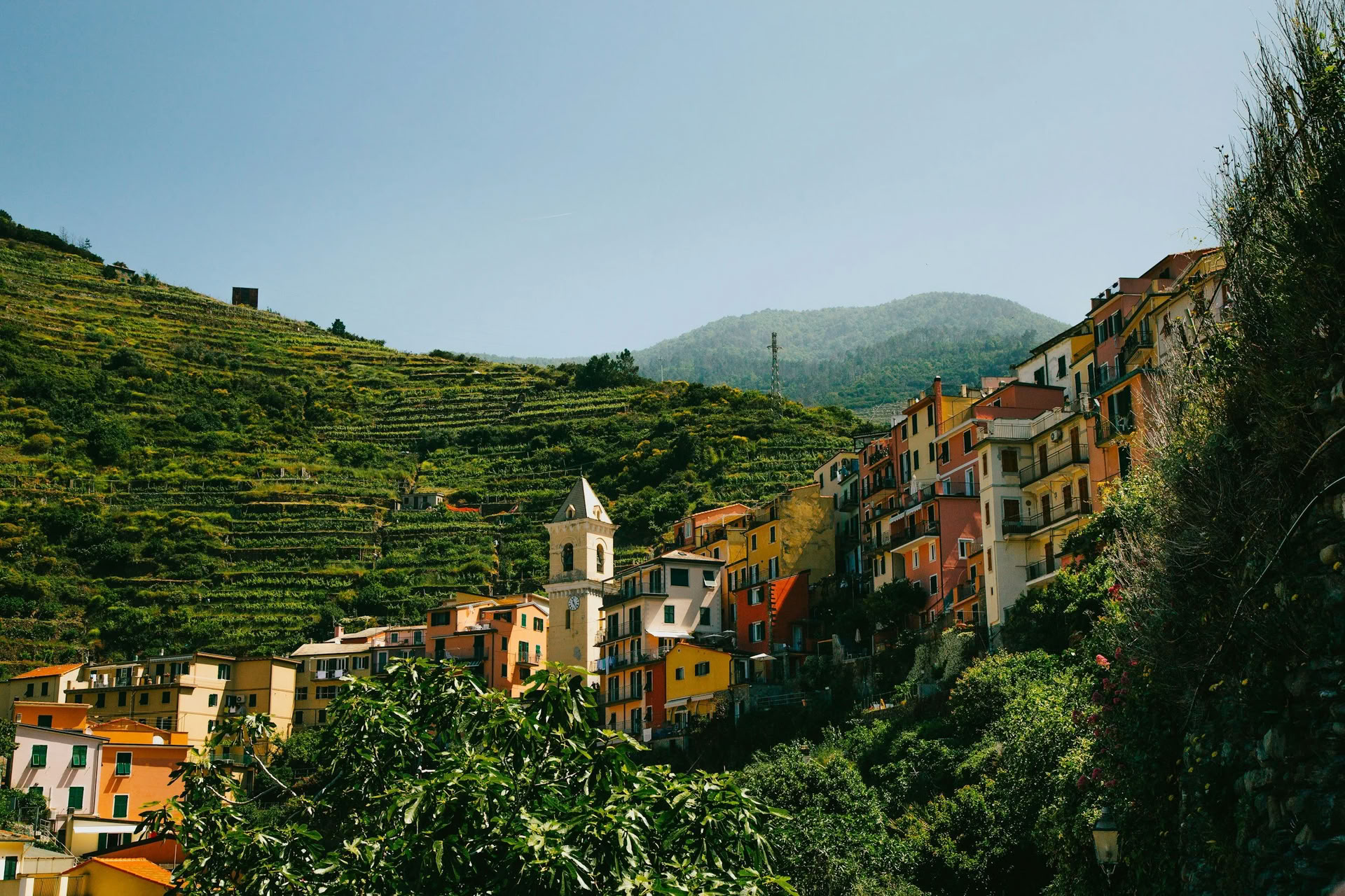 6-Tage Shaktipāt- und Meditations-Retreat mit Lina Leimonte, 6.–12. September 2026, im Olea Retreat, Italien